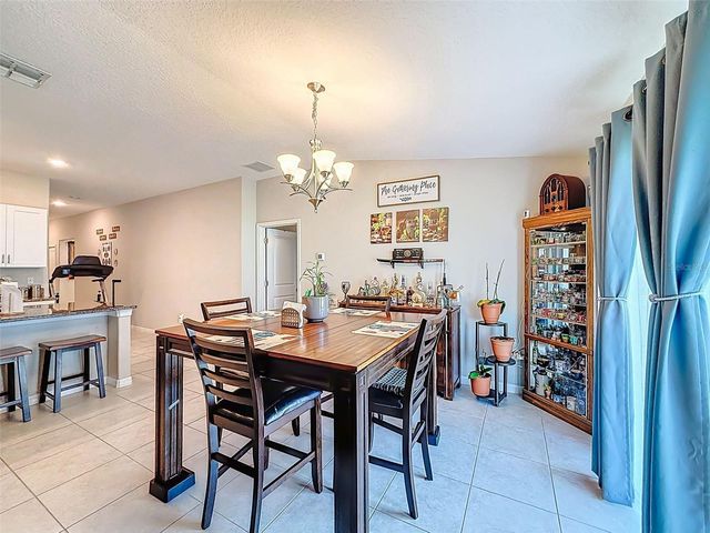 13360 WILLOW BLUESTAR LOOP, Riverview, FL 33579