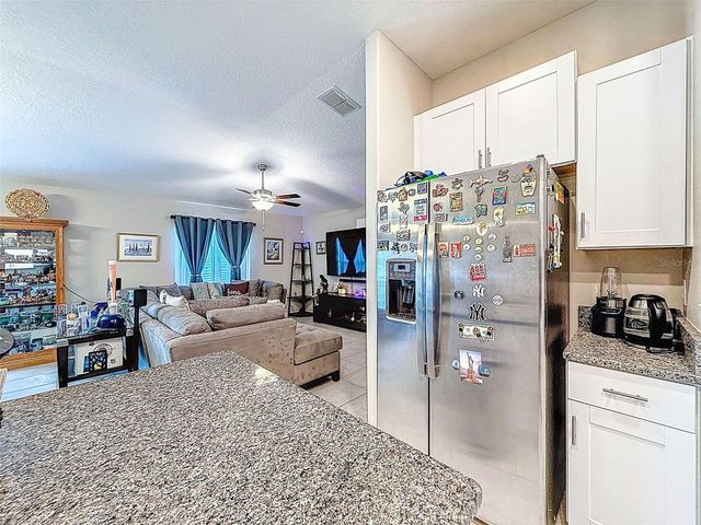 13360 WILLOW BLUESTAR LOOP, Riverview, FL 33579