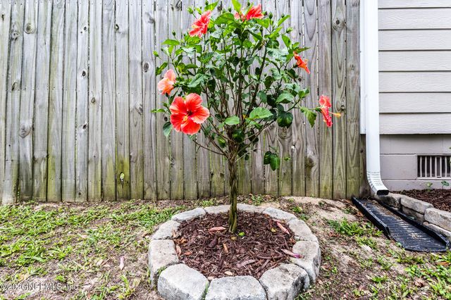 2916 PEACH Drive, Jacksonville, FL 32246
