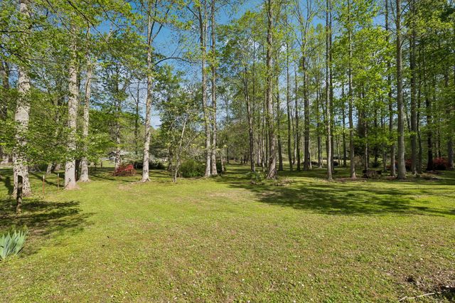 1532 Turkey Creek Road, Tellico Plains, TN 37385