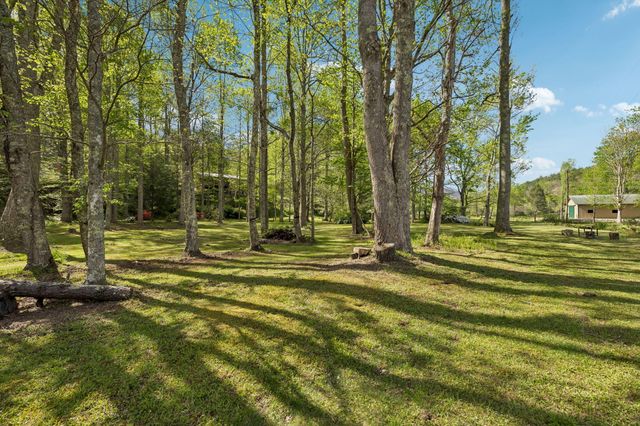 1532 Turkey Creek Road, Tellico Plains, TN 37385