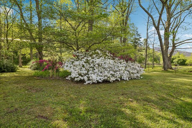 1532 Turkey Creek Road, Tellico Plains, TN 37385