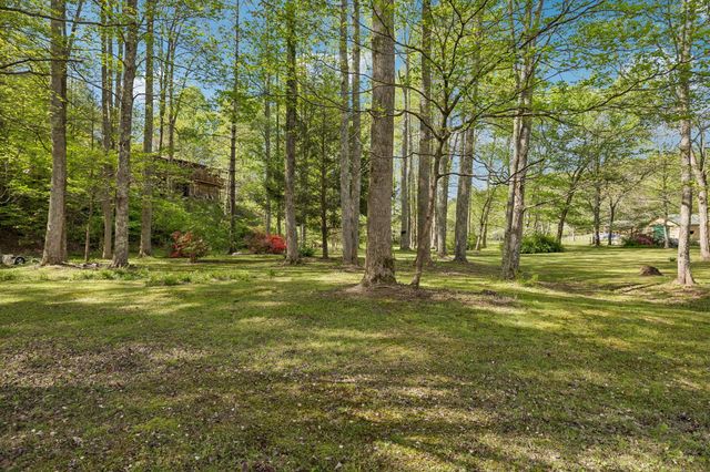 1532 Turkey Creek Road, Tellico Plains, TN 37385