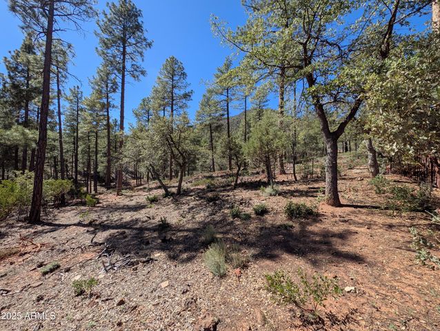 4165 W Forest Court, Pine, AZ 85544