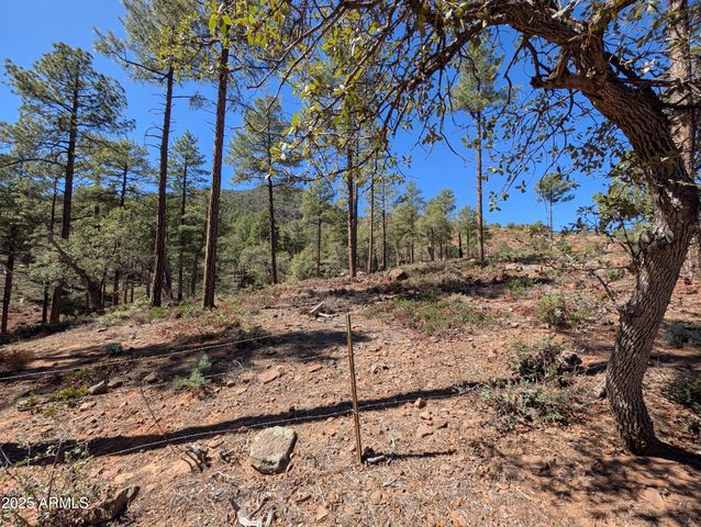 4165 W Forest Court, Pine, AZ 85544