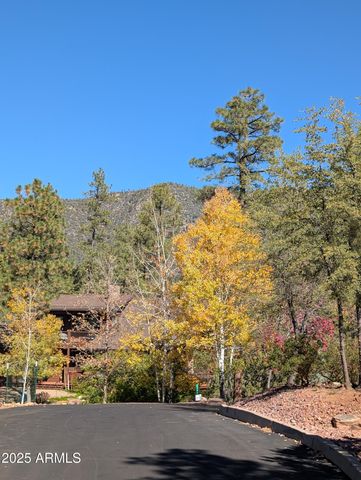 4165 W Forest Court, Pine, AZ 85544