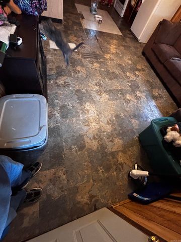 314 Yellowjacket Ln Lane, Clinton, AR 72031