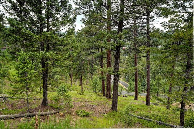 6875 Lynx Lair Road, Evergreen, CO 80439