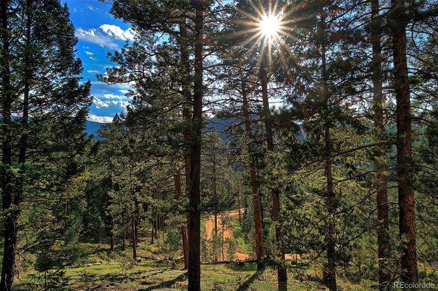 6875 Lynx Lair Road, Evergreen, CO 80439