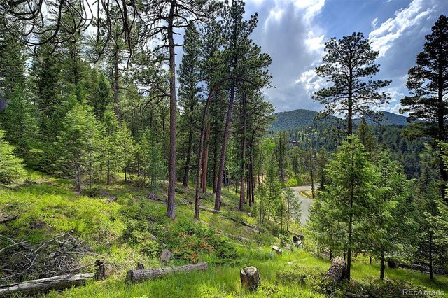 6875 Lynx Lair Road, Evergreen, CO 80439