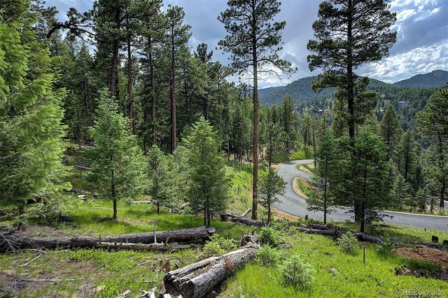 6875 Lynx Lair Road, Evergreen, CO 80439