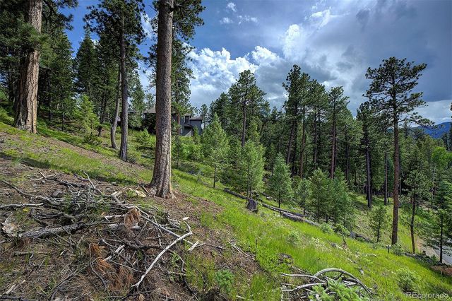 6875 Lynx Lair Road, Evergreen, CO 80439