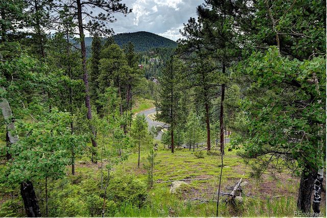 6875 Lynx Lair Road, Evergreen, CO 80439