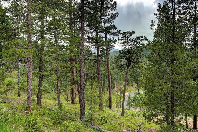 6875 Lynx Lair Road, Evergreen, CO 80439