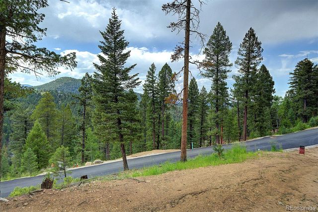 6875 Lynx Lair Road, Evergreen, CO 80439