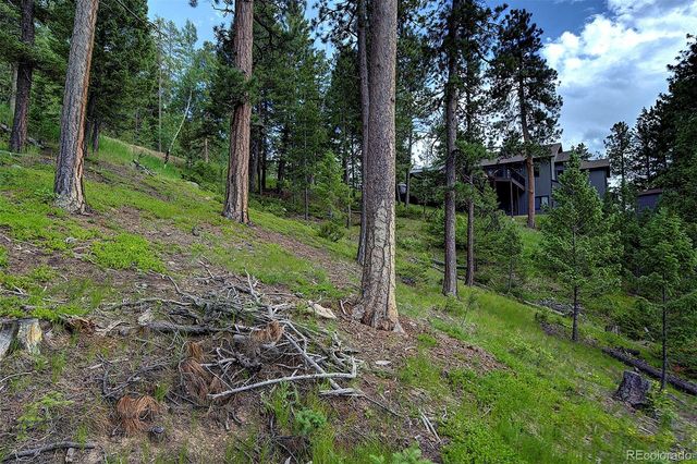 6875 Lynx Lair Road, Evergreen, CO 80439
