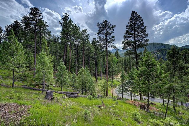 6875 Lynx Lair Road, Evergreen, CO 80439