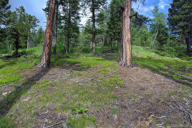 6875 Lynx Lair Road, Evergreen, CO 80439