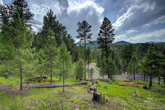 6875 Lynx Lair Road, Evergreen, CO 80439