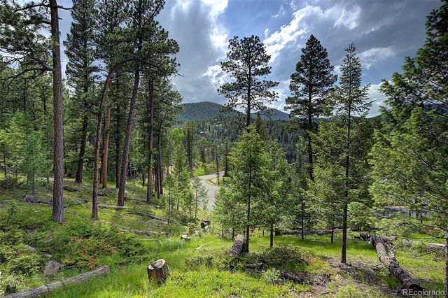 6875 Lynx Lair Road, Evergreen, CO 80439