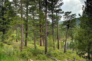 6875 Lynx Lair Road, Evergreen, CO 80439
