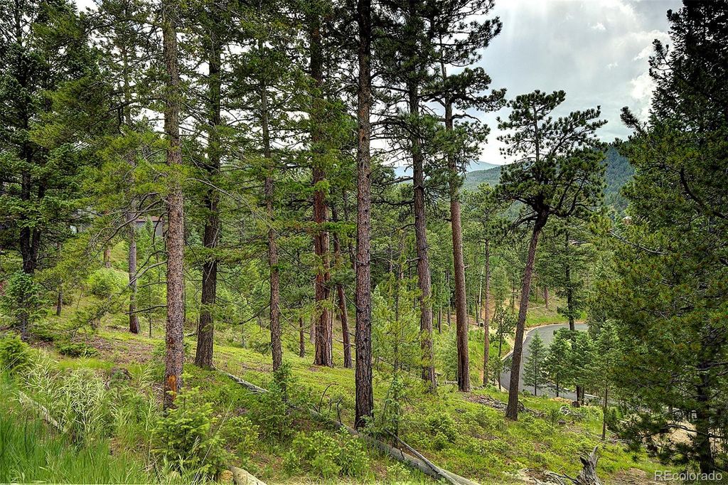 6875 Lynx Lair Road, Evergreen, CO 80439
