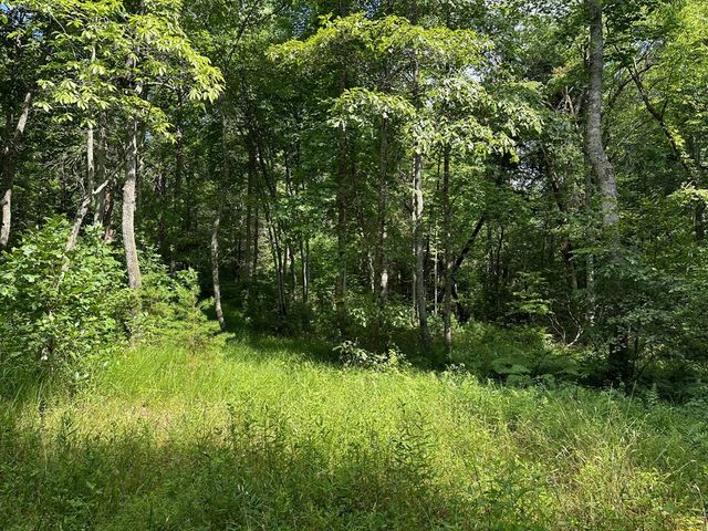 Lot 30 Fairview Drive, Morganton, GA 30560