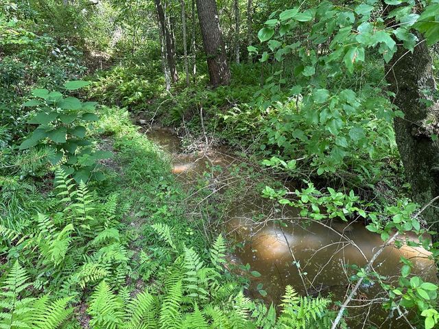 Lot 30 Fairview Drive, Morganton, GA 30560