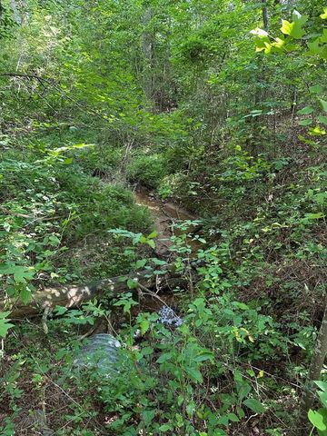 Lot 30 Fairview Drive, Morganton, GA 30560