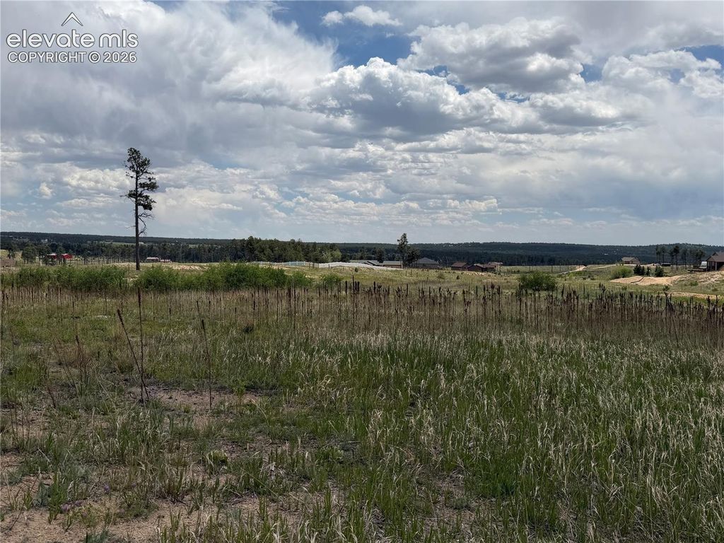 13810 Wildoak Drive, Black Forest, CO 80908 — exterior