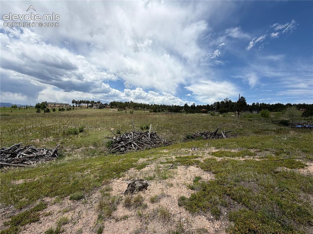 13810 Wildoak Drive, Black Forest, CO 80908 — photo 3