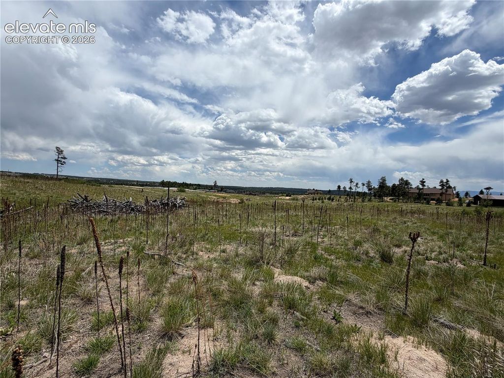 13810 Wildoak Drive, Black Forest, CO 80908 — photo 4