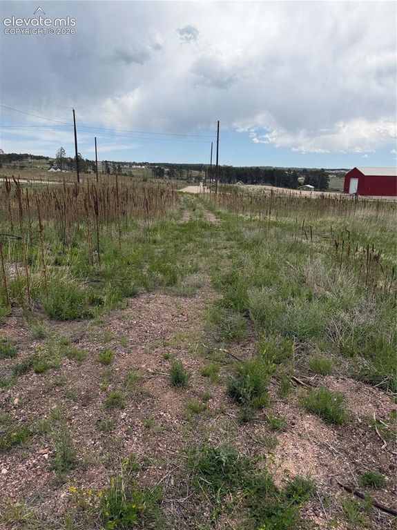 13810 Wildoak Drive, Black Forest, CO 80908 — photo 5