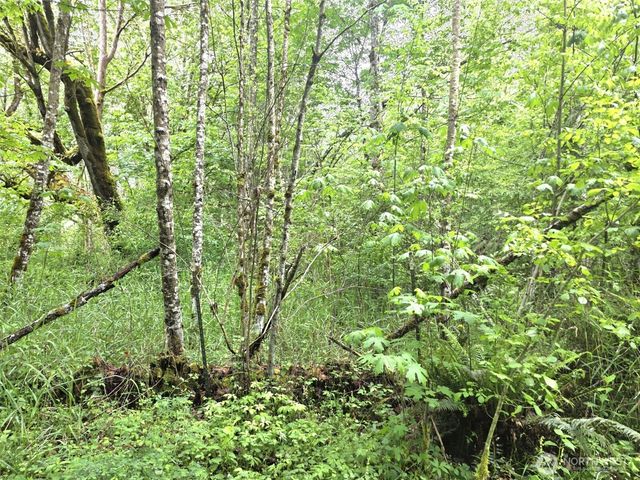 36610 48th Avenue S, Roy, WA 98580