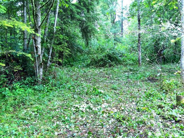 36610 48th Avenue S, Roy, WA 98580