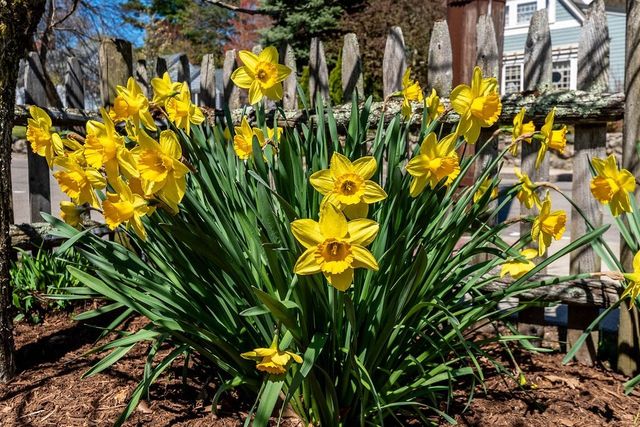 180 Walnut St, Dedham, MA 02026