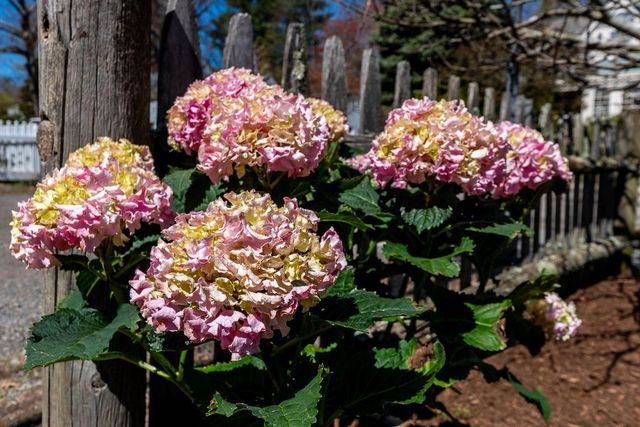 180 Walnut St, Dedham, MA 02026