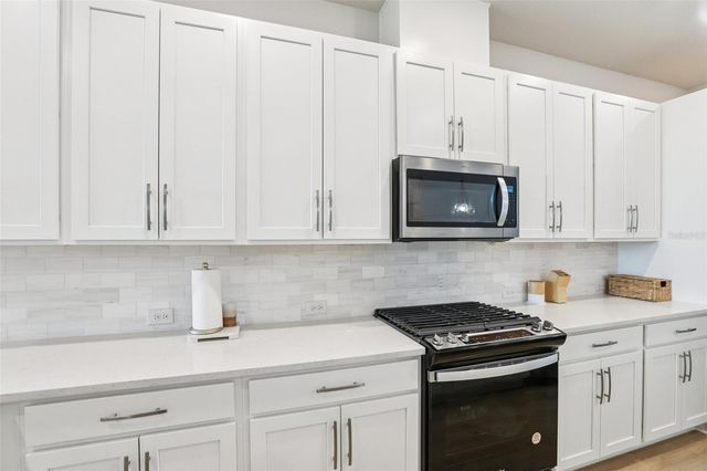 5920 HIDDEN BRANCH DRIVE, Apollo Beach, FL 33572