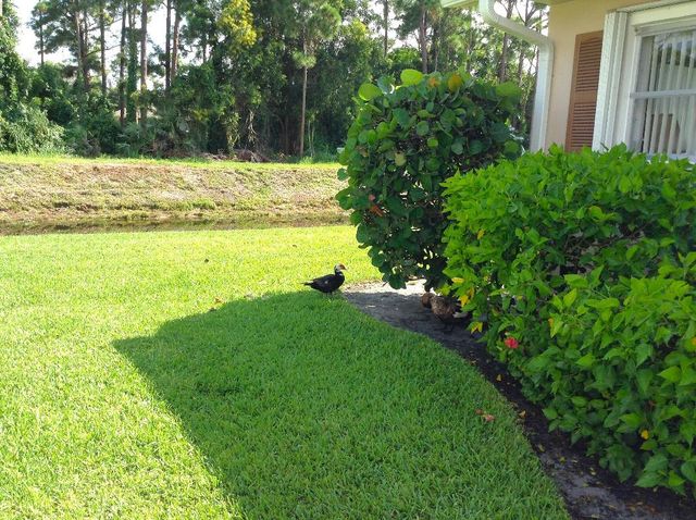 2509 Dudley Drive W D, West Palm Beach, FL 33415