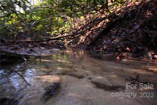 Lot 19 Gastons Bee Gum Road 19, Brevard, NC 28712
