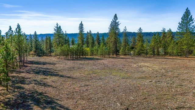 12321 Quail Run Way, Nine Mile Falls, WA 99026