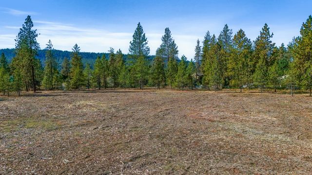 12321 Quail Run Way, Nine Mile Falls, WA 99026
