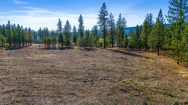 12321 Quail Run Way, Nine Mile Falls, WA 99026