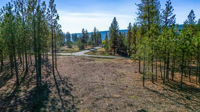 12321 Quail Run Way, Nine Mile Falls, WA 99026