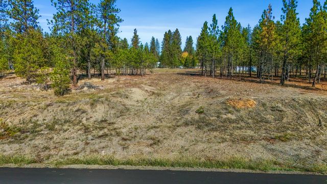 12321 Quail Run Way, Nine Mile Falls, WA 99026
