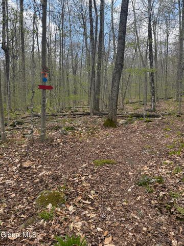 323 N Shore Rd Peck, Gloversville, NY 12078