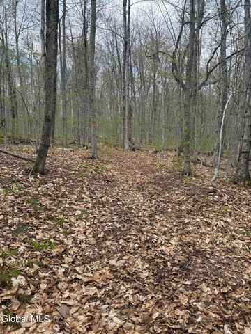 323 N Shore Rd Peck, Gloversville, NY 12078