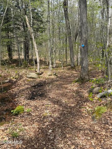 323 N Shore Rd Peck, Gloversville, NY 12078