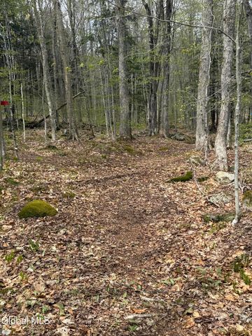 323 N Shore Rd Peck, Gloversville, NY 12078