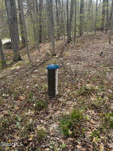 323 N Shore Rd Peck, Gloversville, NY 12078
